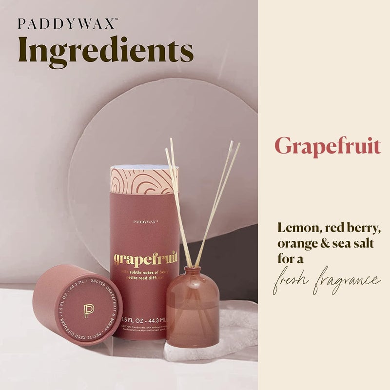 Paddywax Candles Petite Collection, Reed Diffuser for Home Use, Rose - Grapefruit - Image 2